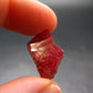 Large Rhodonite Rodonite Crystal From Brazil - 3.09 Grams - 0.7"