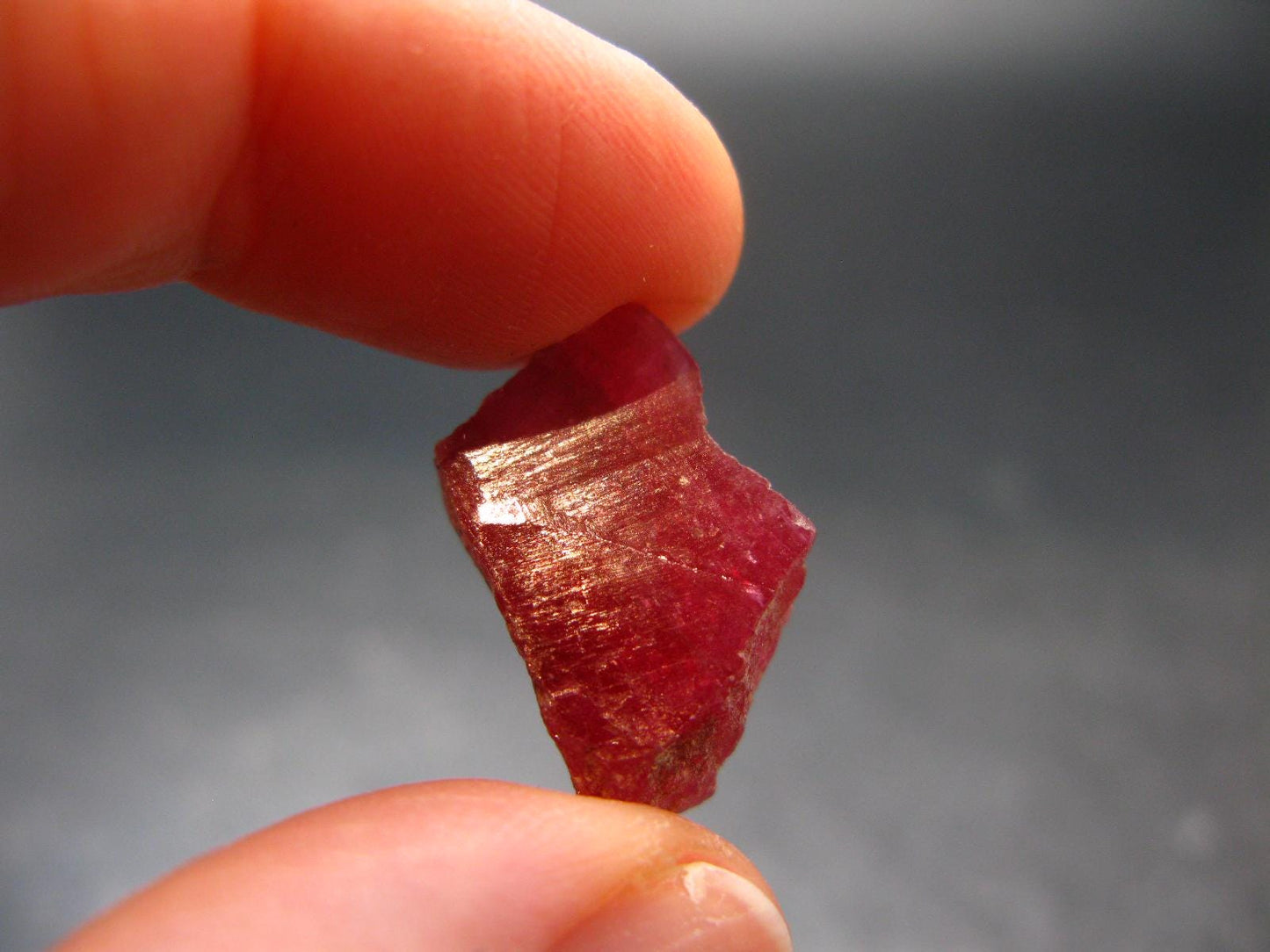 Large Rhodonite Rodonite Crystal From Brazil - 3.09 Grams - 0.7"
