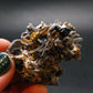 Brookite On Quartz Cluster From Arkansas - 20.00 Grams - 1.8"