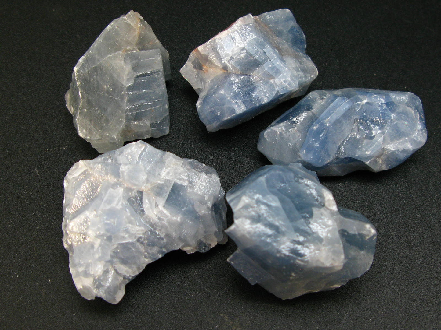 Lot of 5 Natural Blue Rough Calcite from Mexico