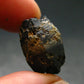 Gem Blue Sapphire Crystal From Sri Lanka - 0.8" - 23.65 Carats