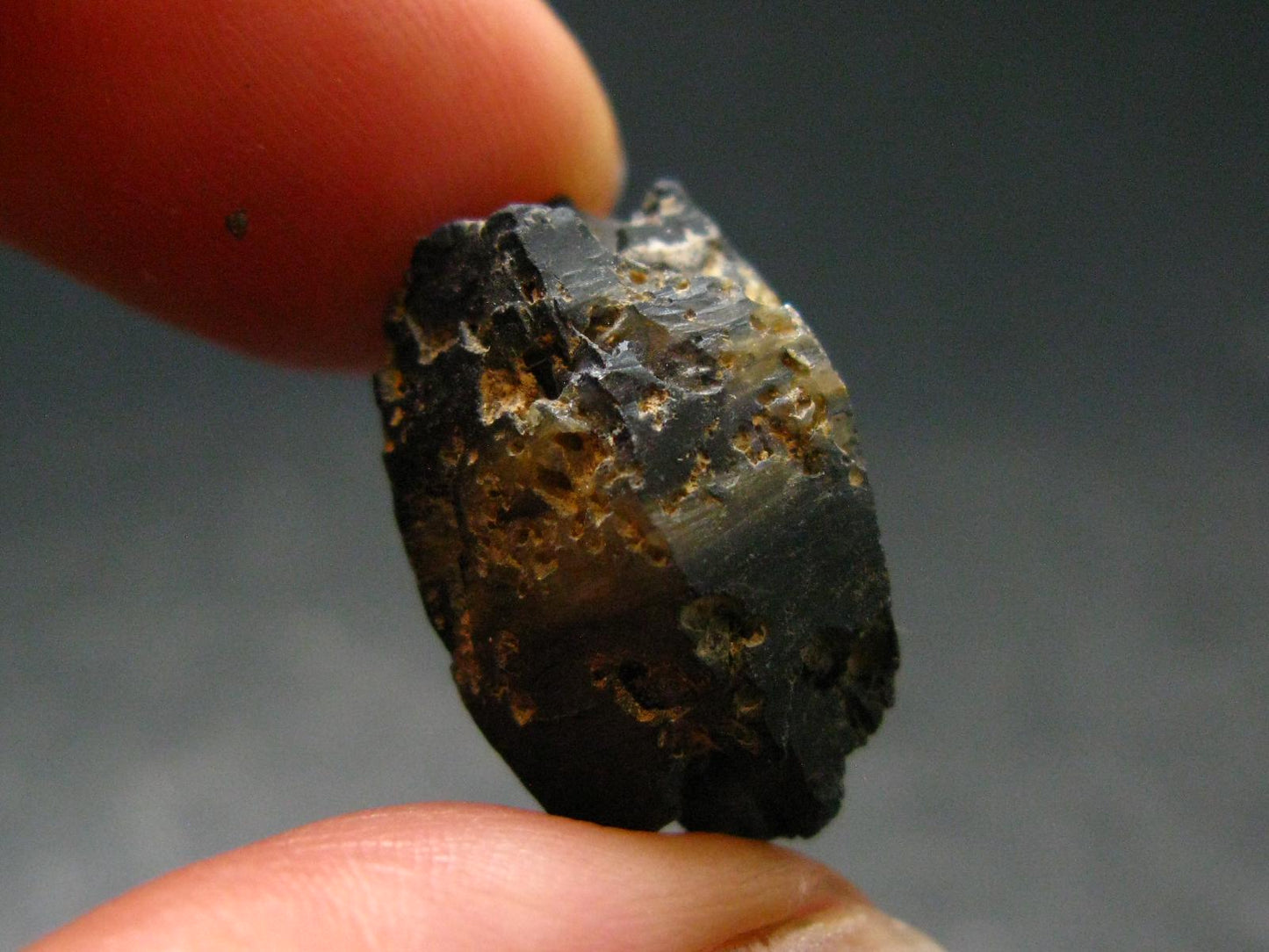 Gem Blue Sapphire Crystal From Sri Lanka - 0.8" - 23.65 Carats