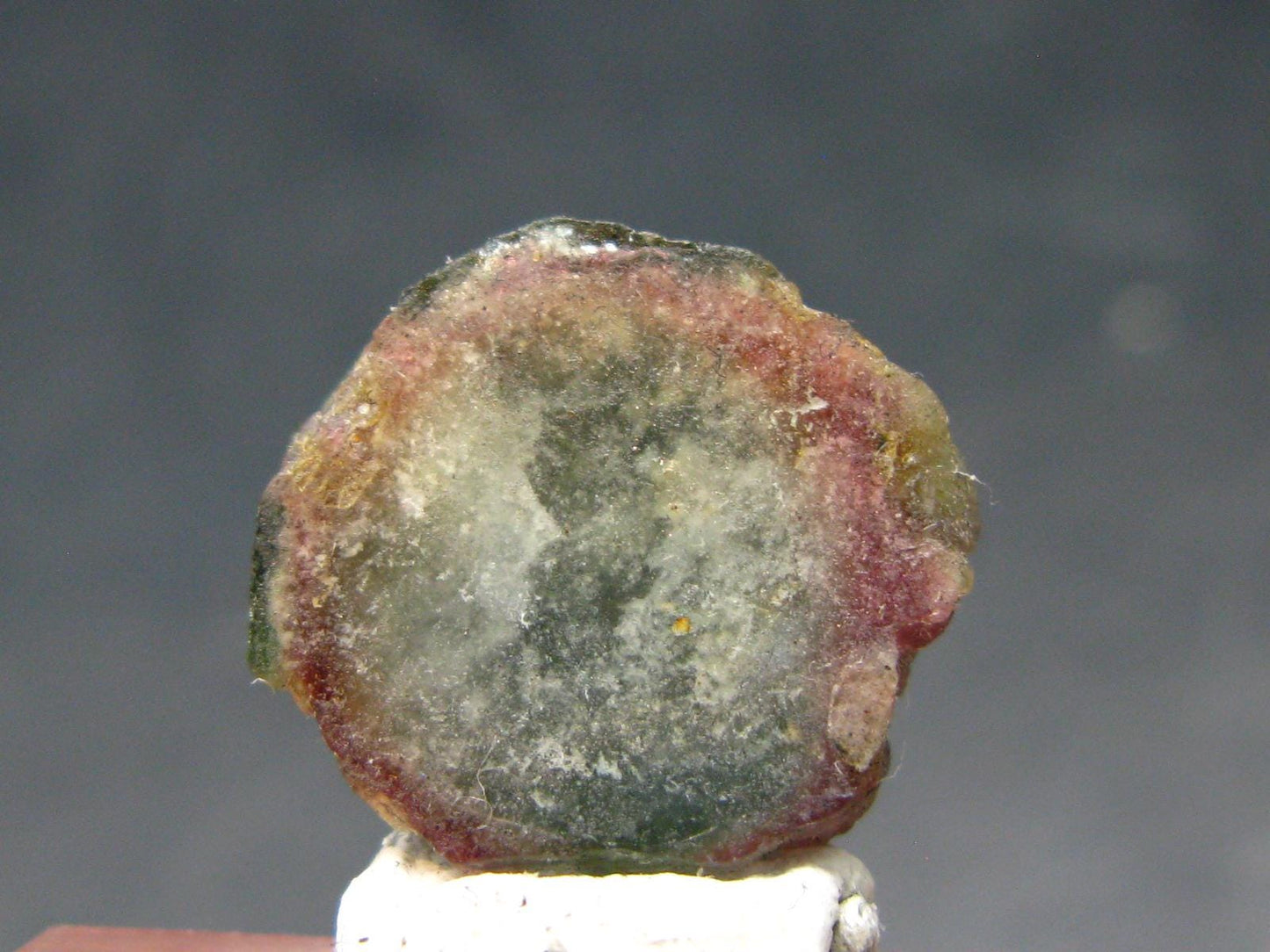 Rare Watermelon Tourmaline Crystal Slice From Brazil - 7.01 Carats