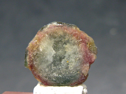 Rare Watermelon Tourmaline Crystal Slice From Brazil - 7.01 Carats