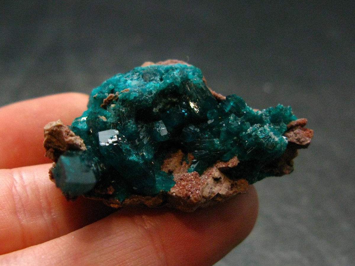 Very Nice Dioptase Cluster from Congo - 1.5" - 18.38 Grams