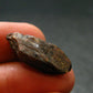 Rare Xenotime Crystal from Brazil - 0.9" - 3.73 Grams