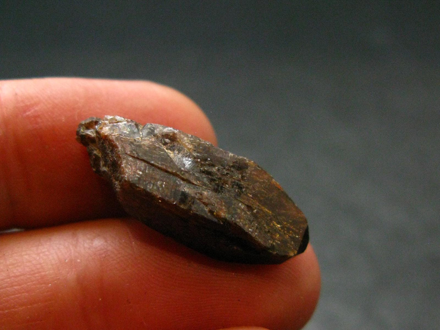 Rare Xenotime Crystal from Brazil - 0.9" - 3.73 Grams