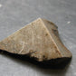 Large Gibeon Meteorite From Namibia - 1.2" - 22.4 Grams