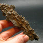 Large Fulgurite Lightning Rock From Sahara Desert - 4.2" - 10.65 Grams