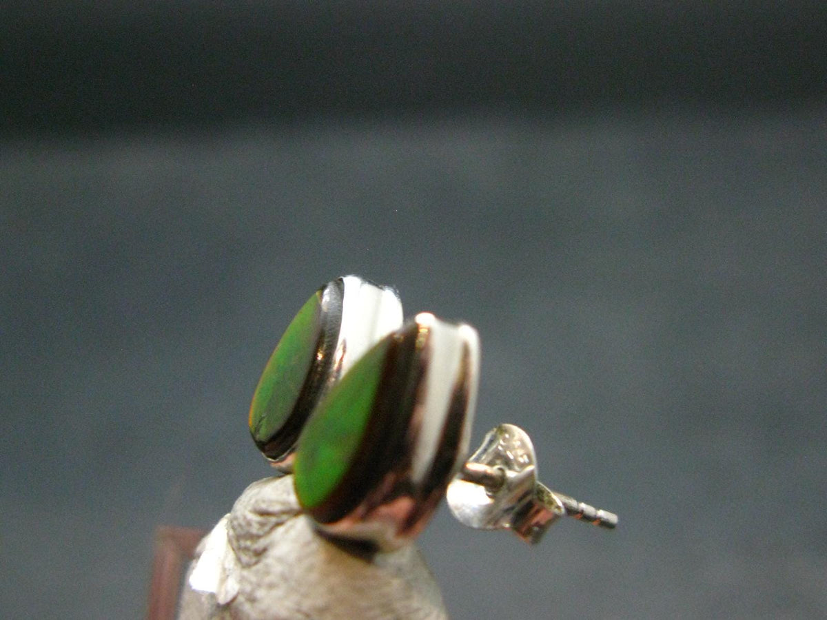 Ammolite Amolite Sterling Silver Stud Earrings From Canada - 1.1"