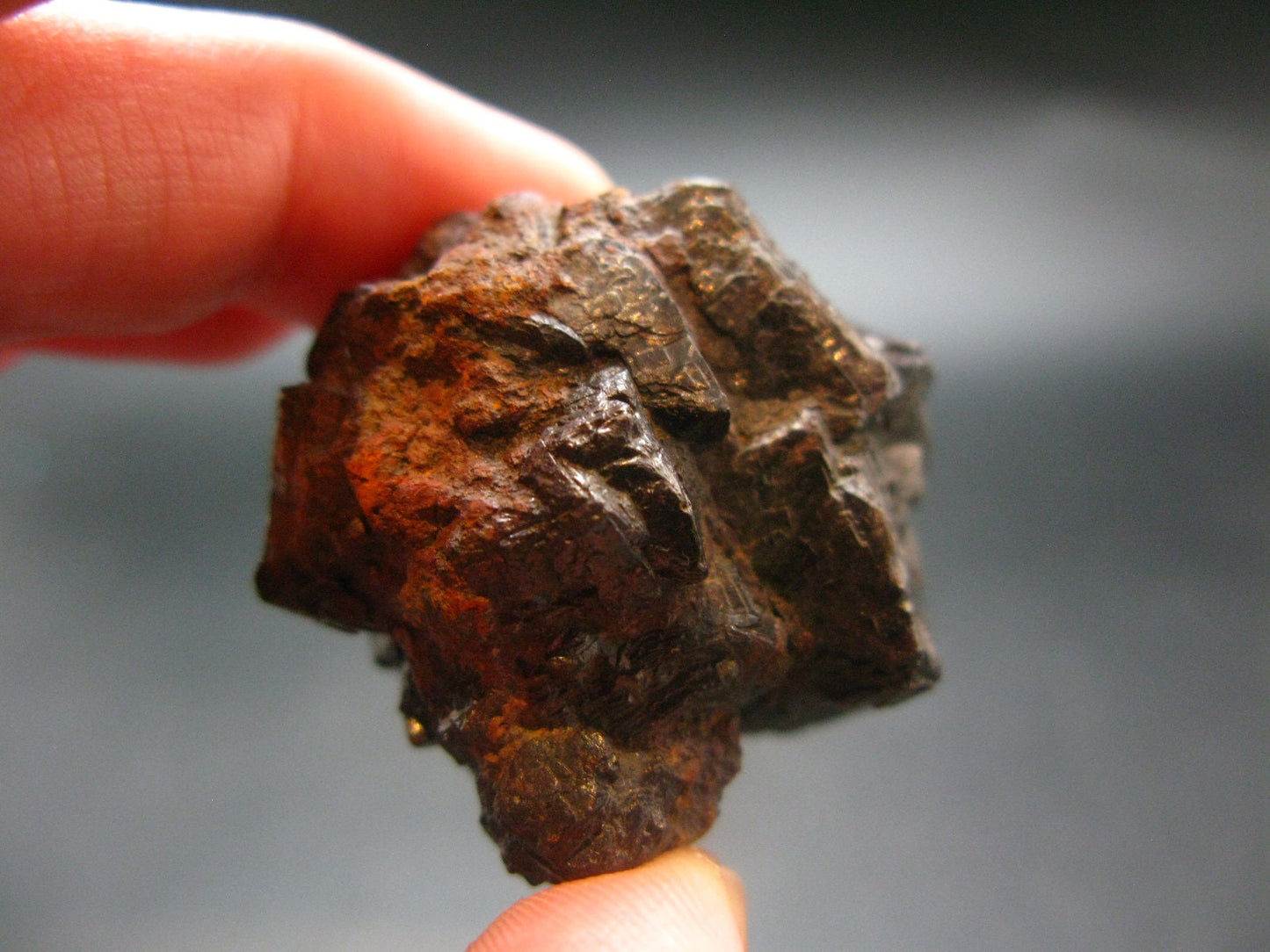 Rare Prophecy Stone Limonite after Pyrite From Egypt - 1.4" - 46.54 Grams