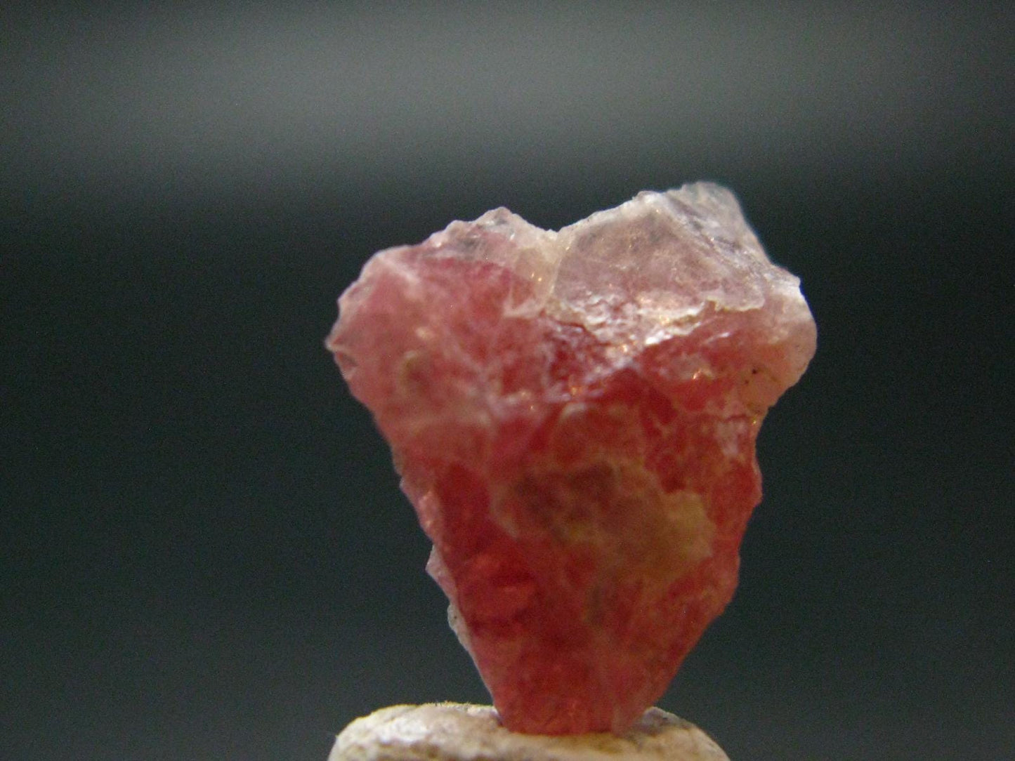 Rare Pezzottaite Crystal from Madagascar - 4.0 Carats - 0.7"