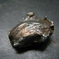 Sikhote Alin Meteorite From Russia - 23.87 Grams - 1.2"