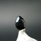 Rare Gem Painite Cut Stone From Mogok - 0.31 Carats