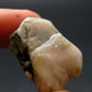 Phenakite Phenacite Tumbled Stone from Brazil - 12.41 Grams - 1.0"