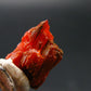 Large Orange Crocoite Crystal From Australia - 0.5" - 16.3 Carats
