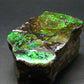 Ammolite Ammollite Fossil From Alberta Canada - 2.3" - 128.94 Grams