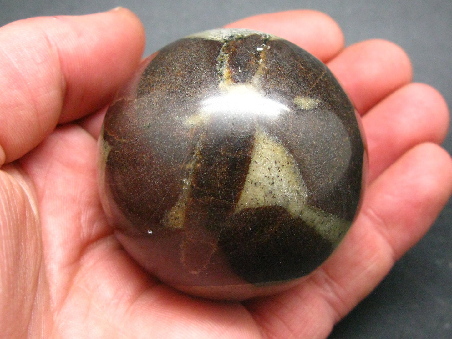 Rare Staurolite crystal in matrix Sphere Ball from Russia - 2.1"