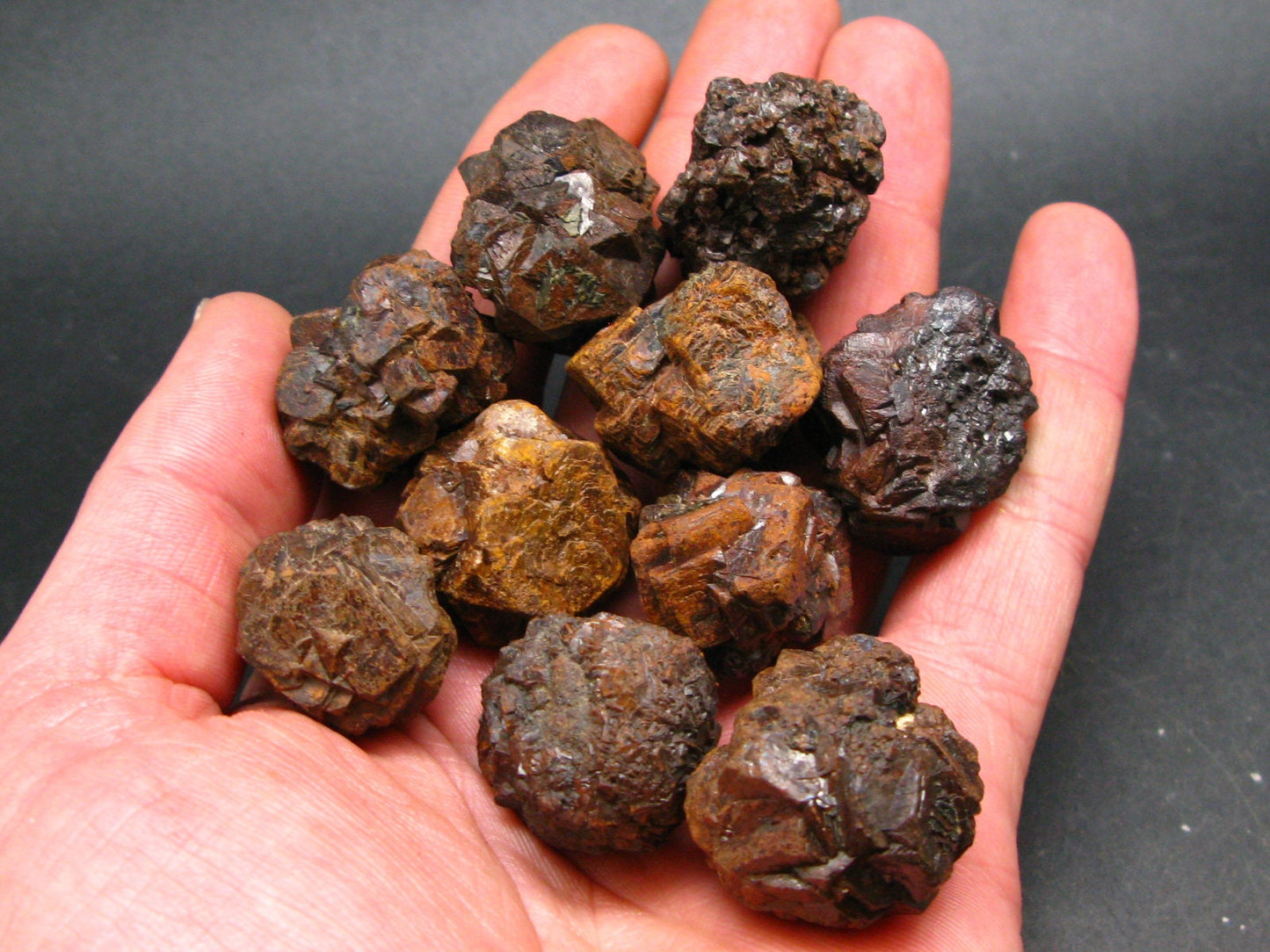 Lot of 10 Rare Prophecy Stones Limonite after Pyrite From Egypt - 300 Grams