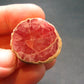 Rhodochrosite Stalactite From Argentina - 0.9" - 22.92 Grams