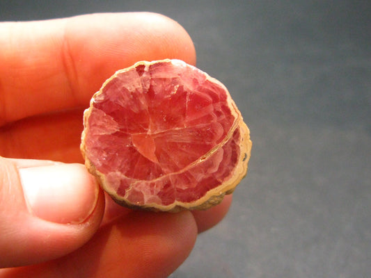 Rhodochrosite Stalactite From Argentina - 0.9" - 22.92 Grams