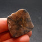 Andalusite Chiastolite Crystal From China - 1.1" - 20.31 Grams