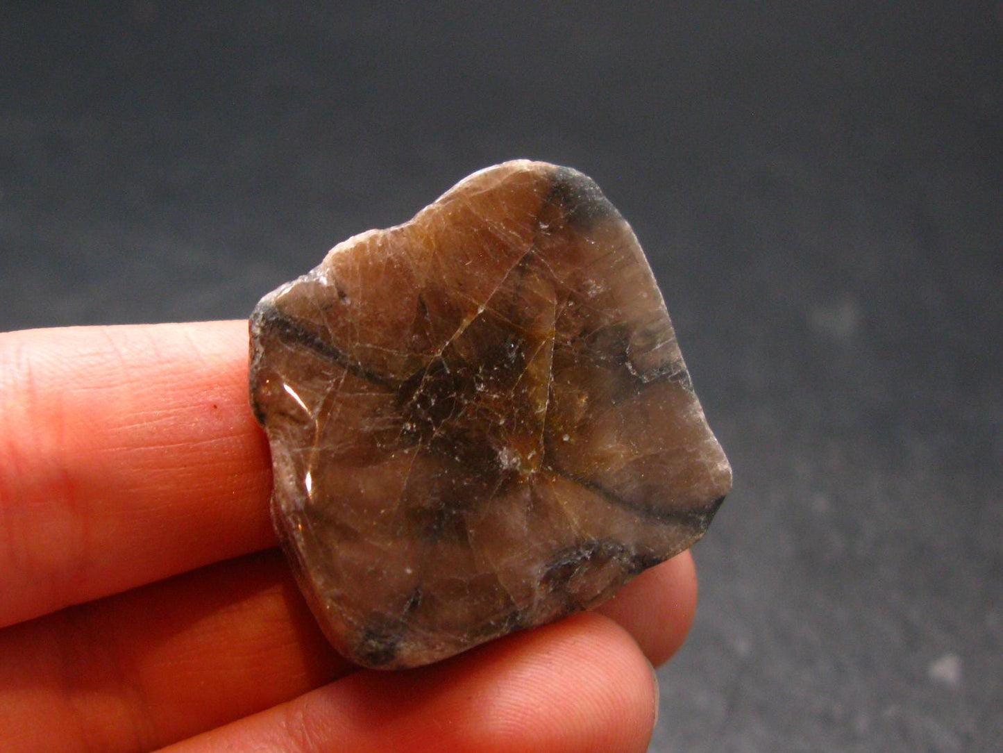 Andalusite Chiastolite Crystal From China - 1.1" - 20.31 Grams
