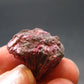 Fine Erythrite Cluster From Morocco - 0.7" - 3.70 Grams