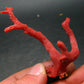 Rare Natural Red Coral From China Sea - 2.8" - 8.8 Grams
