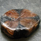 Andalusite Chiastolite Crystal From China - 1.3" - 24.83 Grams