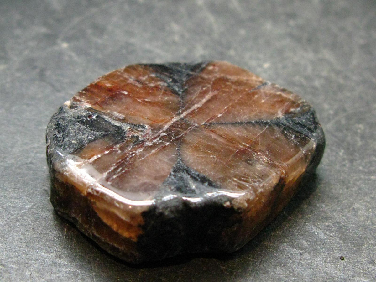 Andalusite Chiastolite Crystal From China - 1.3" - 24.83 Grams