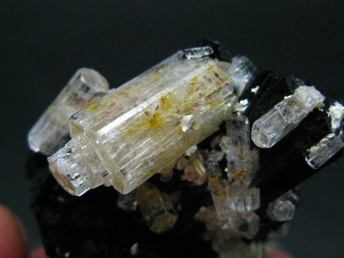 Clear Goshenite Beryl on Black Tourmaline Cluster From Namibia - 2.0" - 42.04 Grams