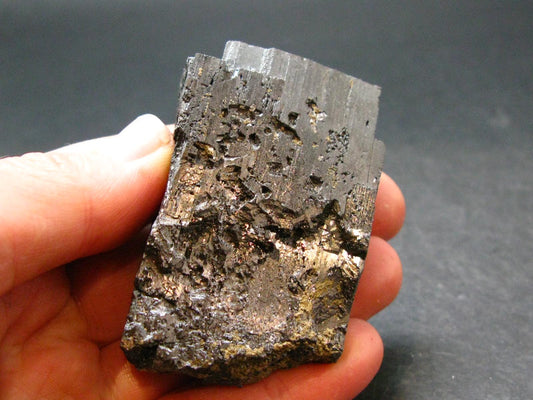 Wolframite Crystal From Portugal - 2.1" - 177.75 Grams