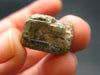 Extremely Rare Kornerupine Crystal From Madagascar - 22.20 Carats - 0.7"