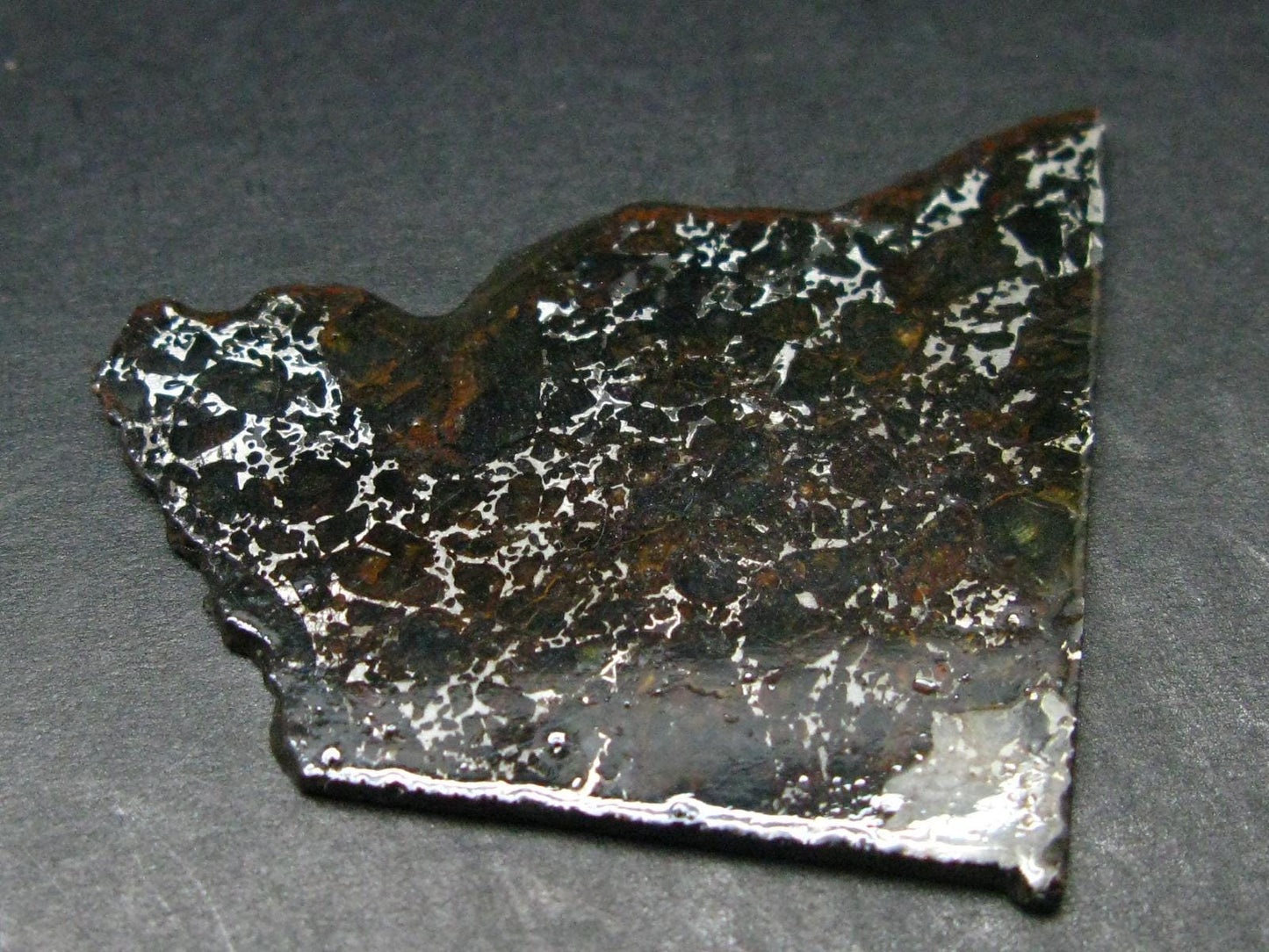 Large Admire Meteorite Pallasite Olivine Slice From Kansas, USA - 1.6" - 7.21 Grams