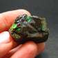 Ammolite Ammollite Fossil From Alberta Canada - 1.1" - 16.24 Grams