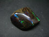 Ammolite Ammollite Fossil From Alberta Canada - 1.3" - 19 Grams