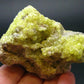 Sulfur Sulphur Cluster From Bolivia - 2.3"