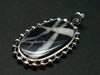 Rare White Buffalo Turquoise Silver Pendant - 1.6" - 4.73 Grams