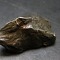 Sikhote Alin Meteorite From Russia - 17.87 Grams - 1.2"
