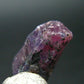 Ruby Crystal from Winza Tanzania - 0.6" - 14.25 Carats