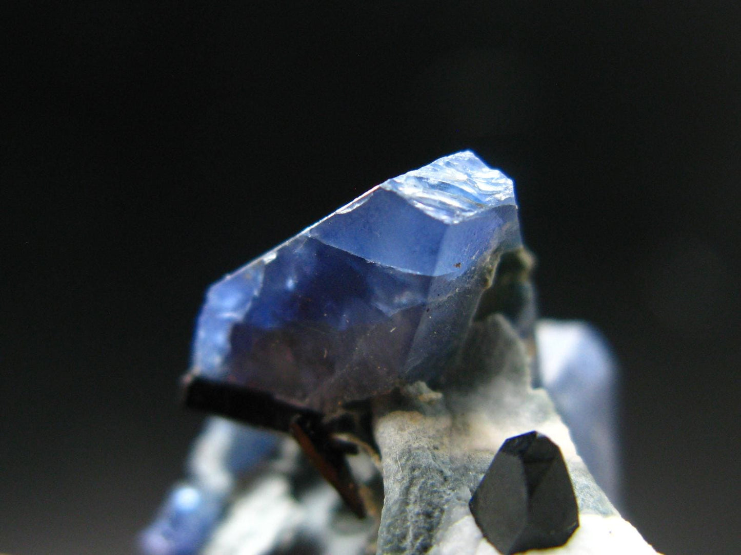 Beautiful Benitoite and Neptunite on Natrolite Cluster From California - 1.4"