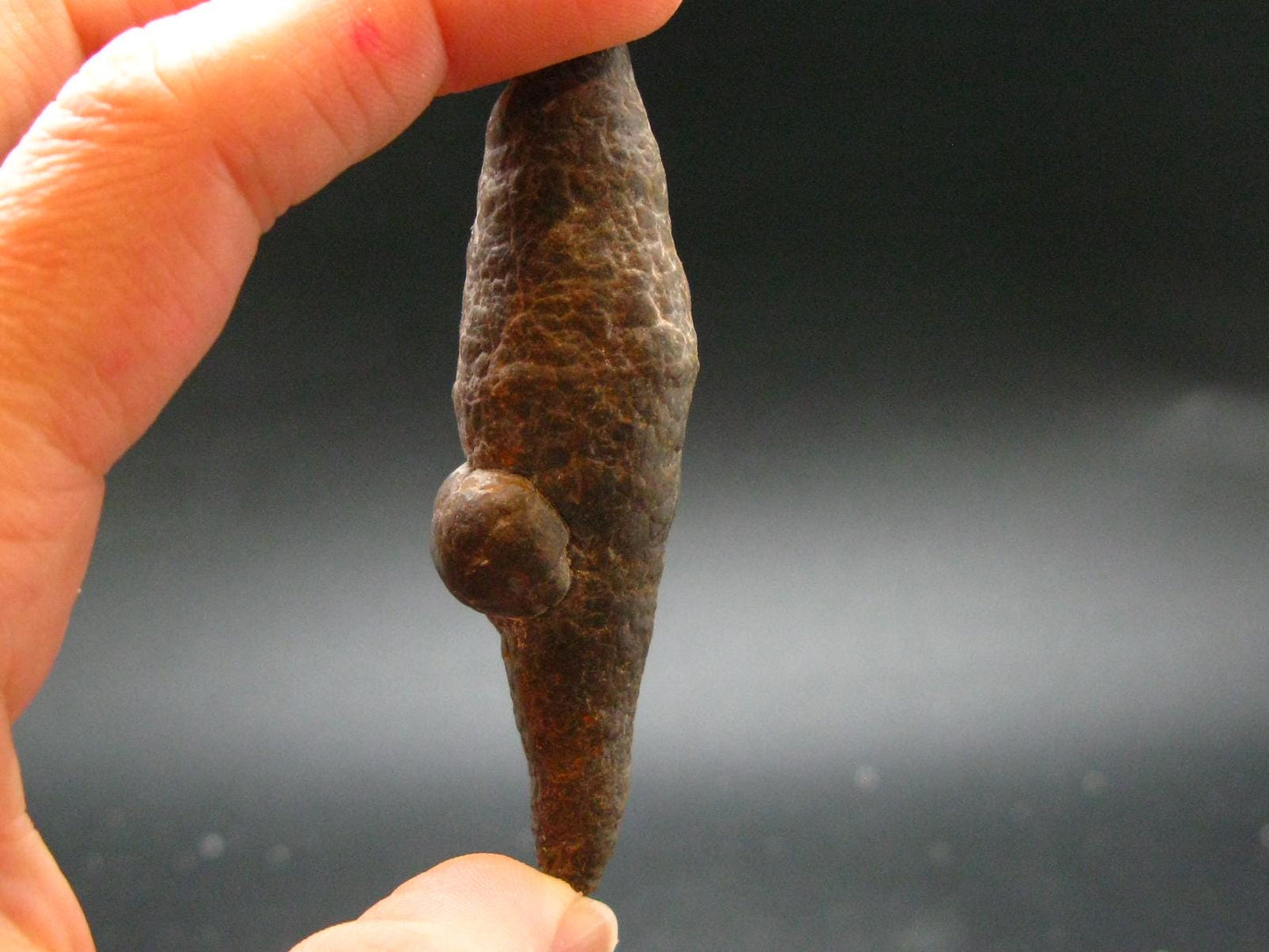 Rare Prophecy Stone Limonite after Pyrite From Egypt - 2.6" - 36.0 Grams