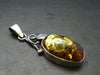 Natural Baltic Amber 925 Silver Pendant - 2.1"