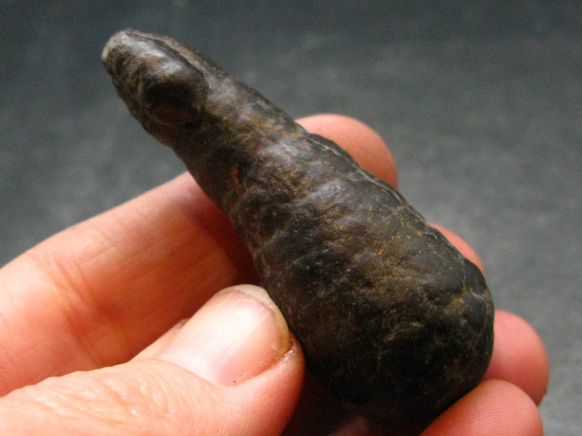 Rare Prophecy Stone Limonite after Pyrite From Egypt - 2.1" - 32.77 Grams