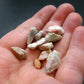 Lot of 10 Rare Pink Tugtupite Raw Pieces From Greenland - 5.0 Grams