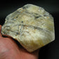 Huge Phenakite Phenacite Crystal From Brazil - 1539 Grams - 6.2" - *Azozeo Activated*