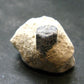 Large Blue Sapphire Corundum Cluster From Madagascar - 1.3"