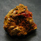 Rare Orange Crocoite Cluster From Australia - 1.4"- 12.09 Grams