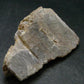 Rare Herderite Polished Crystal from Brazil - 62.79 Grams - 2.5"
